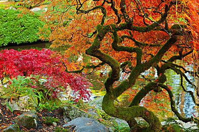 《漫威蜘蛛侠2》布鲁克林2099和Kumo战衣发布